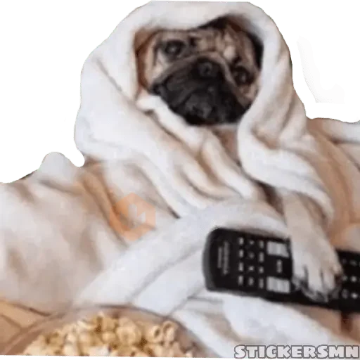Animales Friolentos 🥶❄ sticker 30