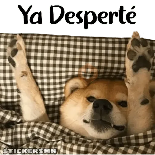 Animales Friolentos 🥶❄ sticker 24