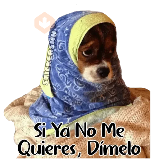 Animales Friolentos 🥶❄ sticker 16