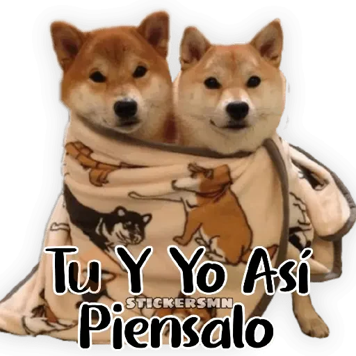 Animales Friolentos 🥶❄ sticker 23