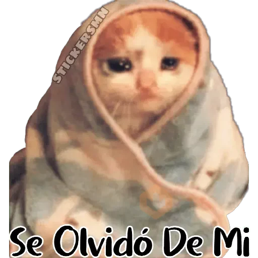 Animales Friolentos 🥶❄ sticker 15