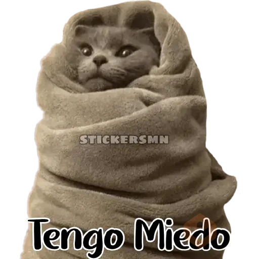 Animales Friolentos 🥶❄ sticker 20