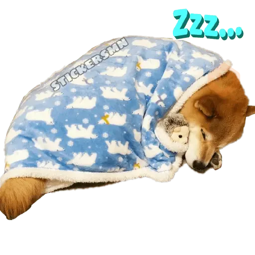 Animales Friolentos 🥶❄ sticker 19