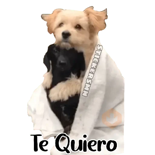 Animales Friolentos 🥶❄ sticker 27