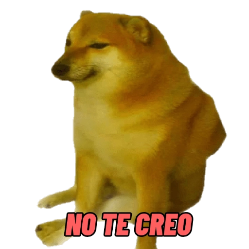 PERRITO MEME (CHEEMS) 