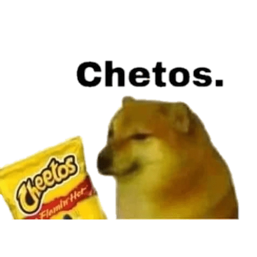 PERRITO MEME (CHEEMS) 