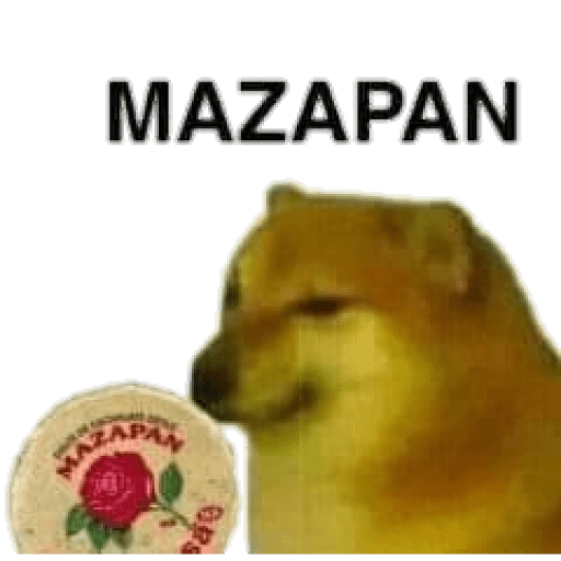 PERRITO MEME (CHEEMS) 