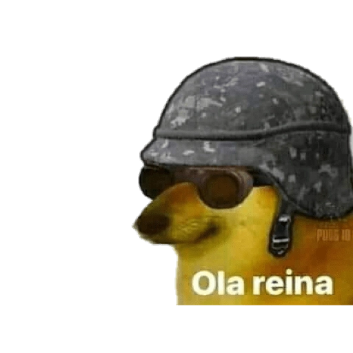 PERRITO MEME (CHEEMS) 