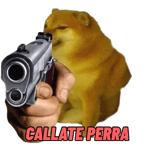 PERRITO MEME (CHEEMS) 