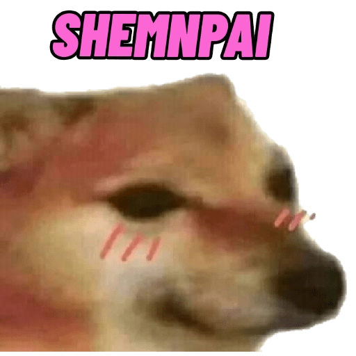 PERRITO MEME (CHEEMS) 