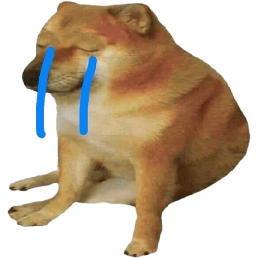 PERRITO MEME (CHEEMS) 