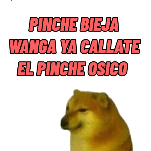 PERRITO MEME (CHEEMS) 