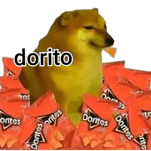 PERRITO MEME (CHEEMS) 