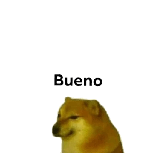 PERRITO MEME (CHEEMS) 