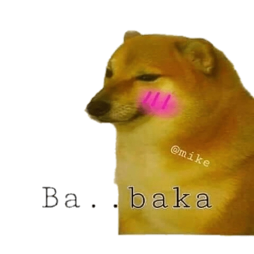 PERRITO MEME (CHEEMS) 