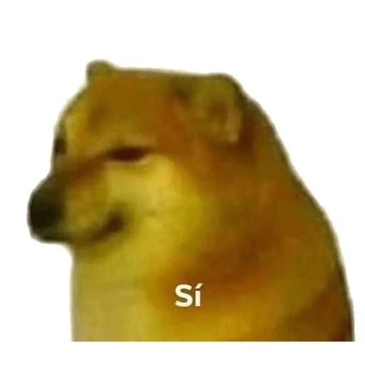 PERRITO MEME (CHEEMS) 