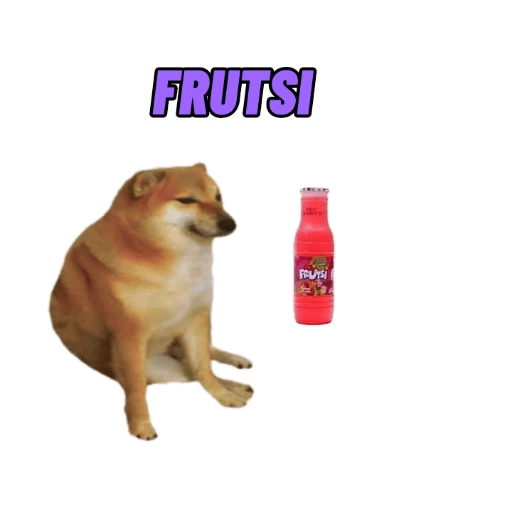 PERRITO MEME (CHEEMS) 