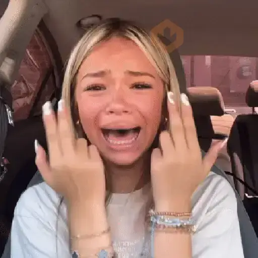 🔥TIKTOK RAMDON 2.9📲 sticker 14