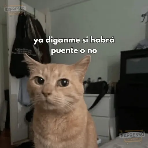 😮‍💨💼 Chamba memes 💼😮‍💨