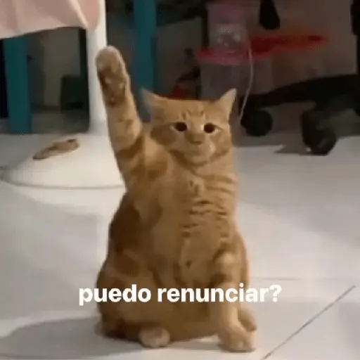 😮‍💨💼 Chamba memes 💼😮‍💨