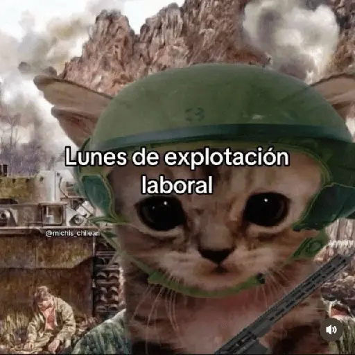 😮‍💨💼 Chamba memes 💼😮‍💨