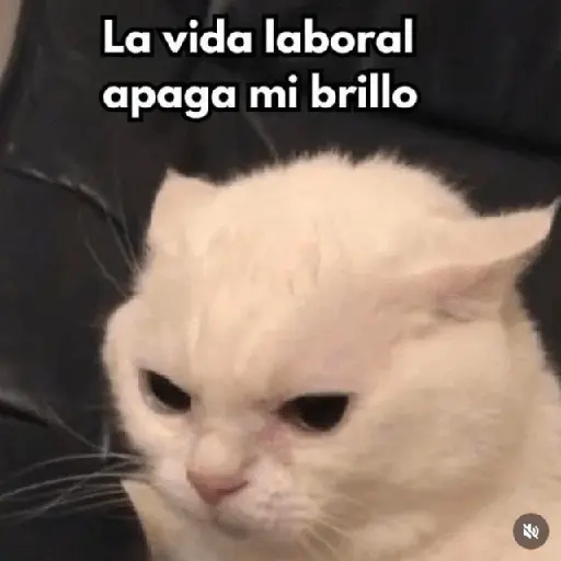 😮‍💨💼 Chamba memes 💼😮‍💨