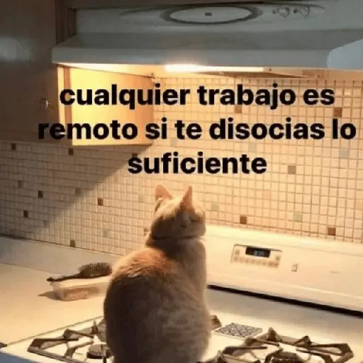 😮‍💨💼 Chamba memes 💼😮‍💨