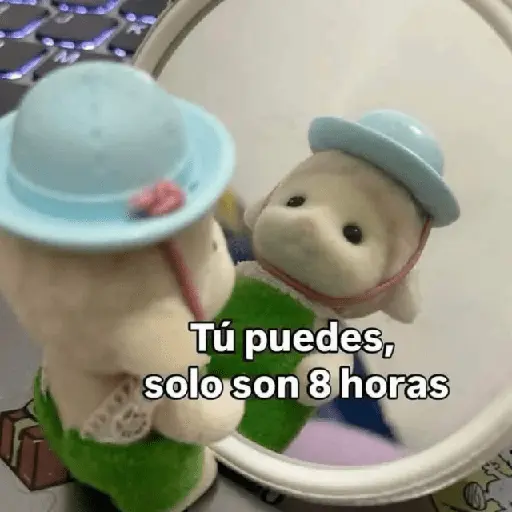😮‍💨💼 Chamba memes 💼😮‍💨