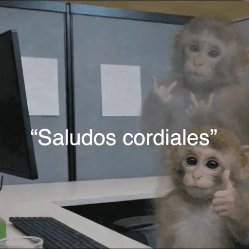 🙈 ANIMALITOS CON TEXTOS 😎