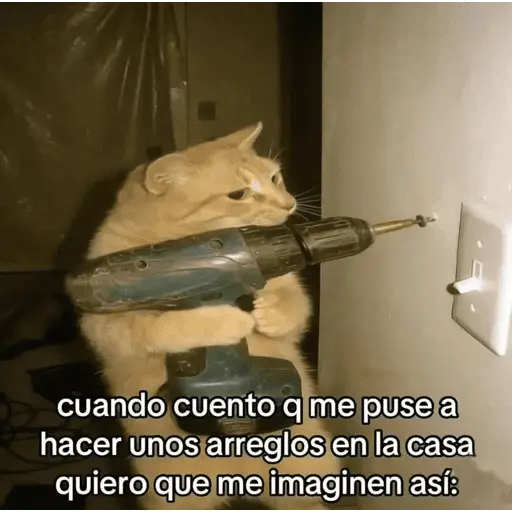 🙈 ANIMALITOS CON TEXTOS 😎