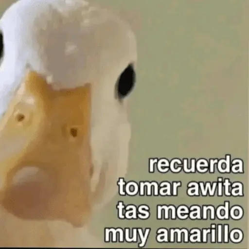 🙈 ANIMALITOS CON TEXTOS 😎
