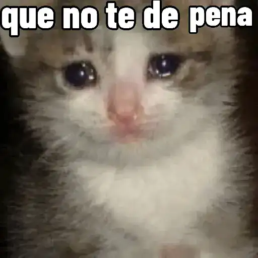 Con toda la sal🧂y ⌛del 🌎♥️
