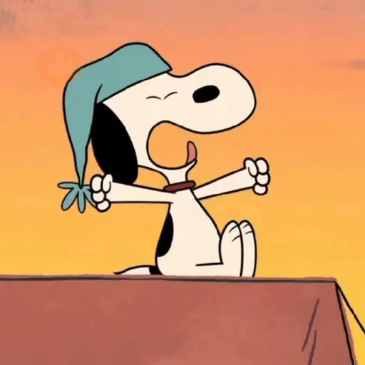 snoopy zoopy sticker 17