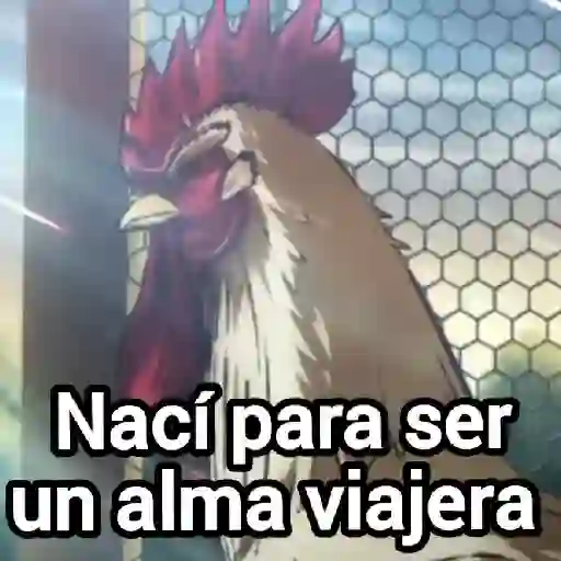 rooster fighter🐓gallo anime🐔