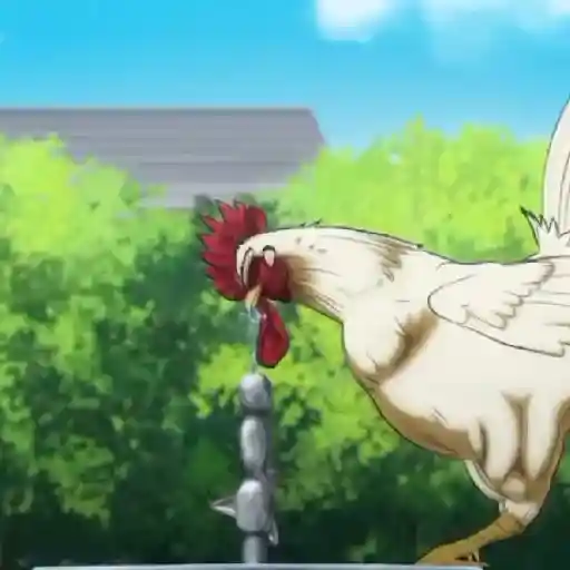 rooster fighter🐓gallo anime🐔