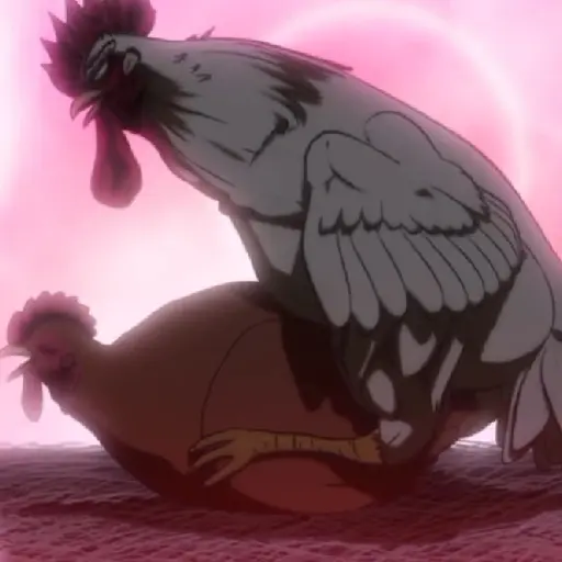 rooster fighter🐓gallo anime🐔 preview