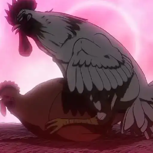 rooster fighter🐓gallo anime🐔 preview
