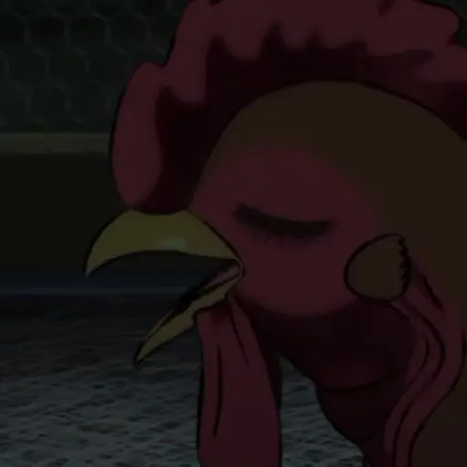 rooster fighter🐓gallo anime🐔