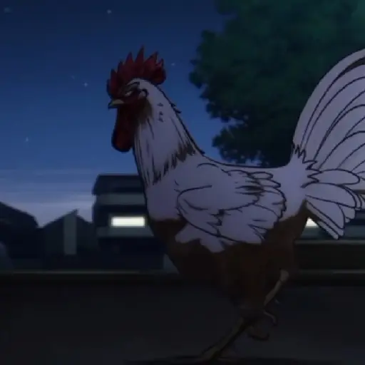 rooster fighter🐓gallo anime🐔