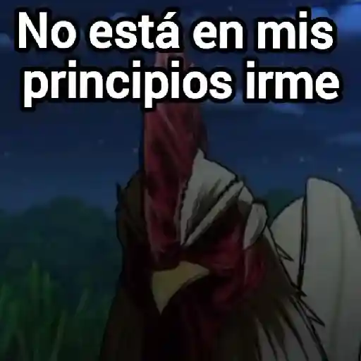 rooster fighter🐓gallo anime🐔
