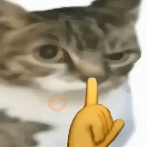 Memes sin texto 4🫰🏻✨ sticker 25