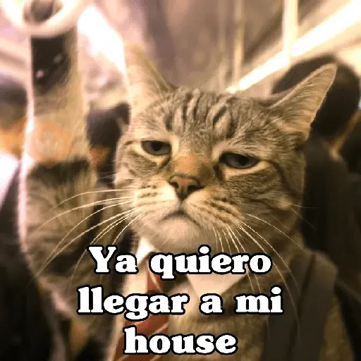 🧿Gato trabajando 🐱🐈 sticker 21