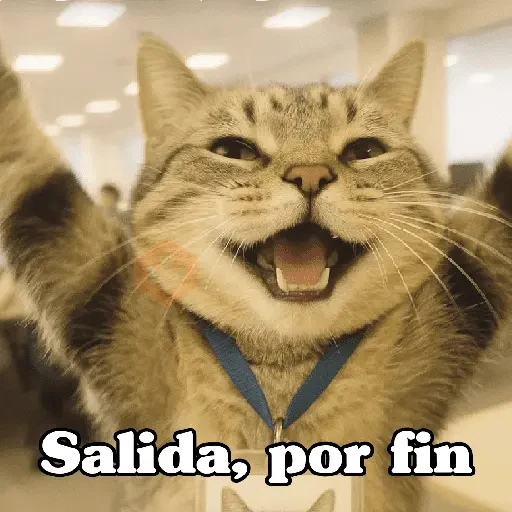 🧿Gato trabajando 🐱🐈 sticker 20