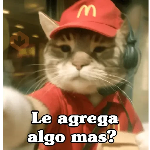🧿Gato trabajando 🐱🐈 sticker 13