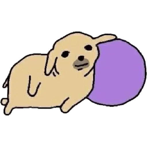 Nudaeng 🐶 Coreano Chamba