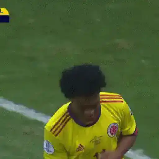 selección  Colombia