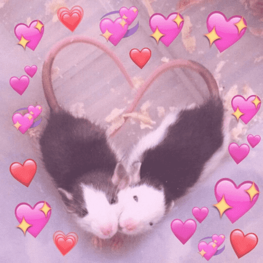 🥲ANIMALITOS RANDOM TIERNOS 🥲 preview
