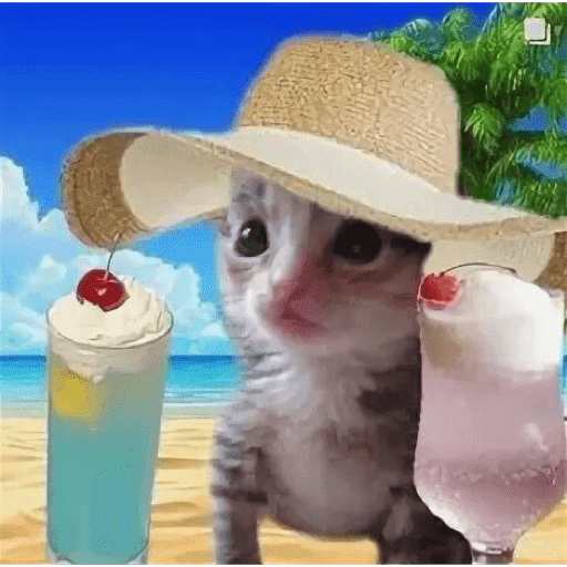 🥲ANIMALITOS RANDOM TIERNOS 🥲 preview