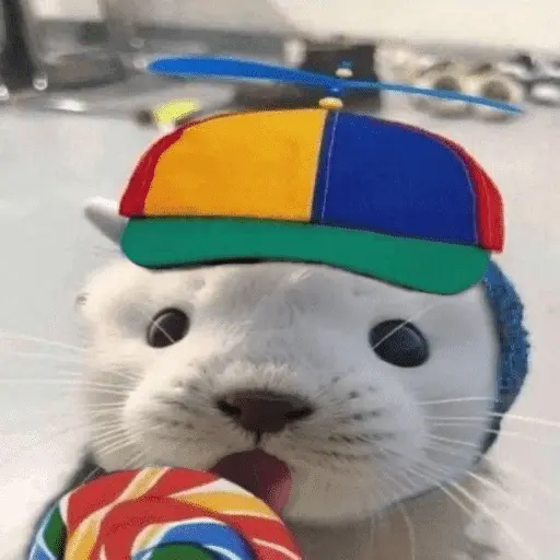 🥲ANIMALITOS RANDOM TIERNOS 🥲