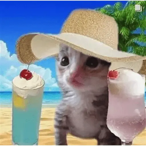 🥲ANIMALITOS RANDOM TIERNOS 🥲